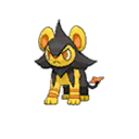 Shiny