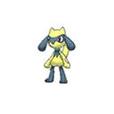 Shiny