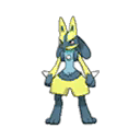 Shiny