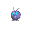 Shiny
