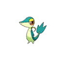 Shiny