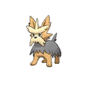 Shiny