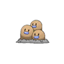 Shiny