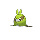 Shiny