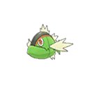 Shiny